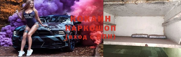 ешки Алзамай