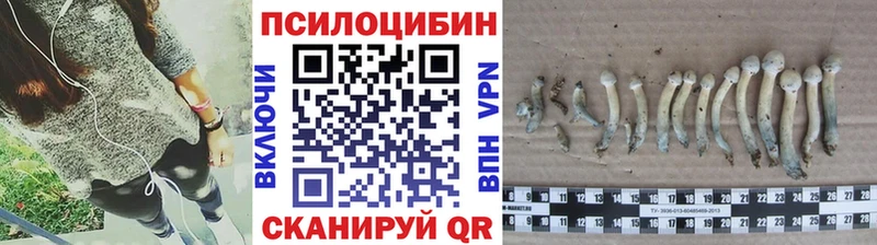 МЕГА ССЫЛКА  закладка  Пролетарск  Галлюциногенные грибы прущие грибы 